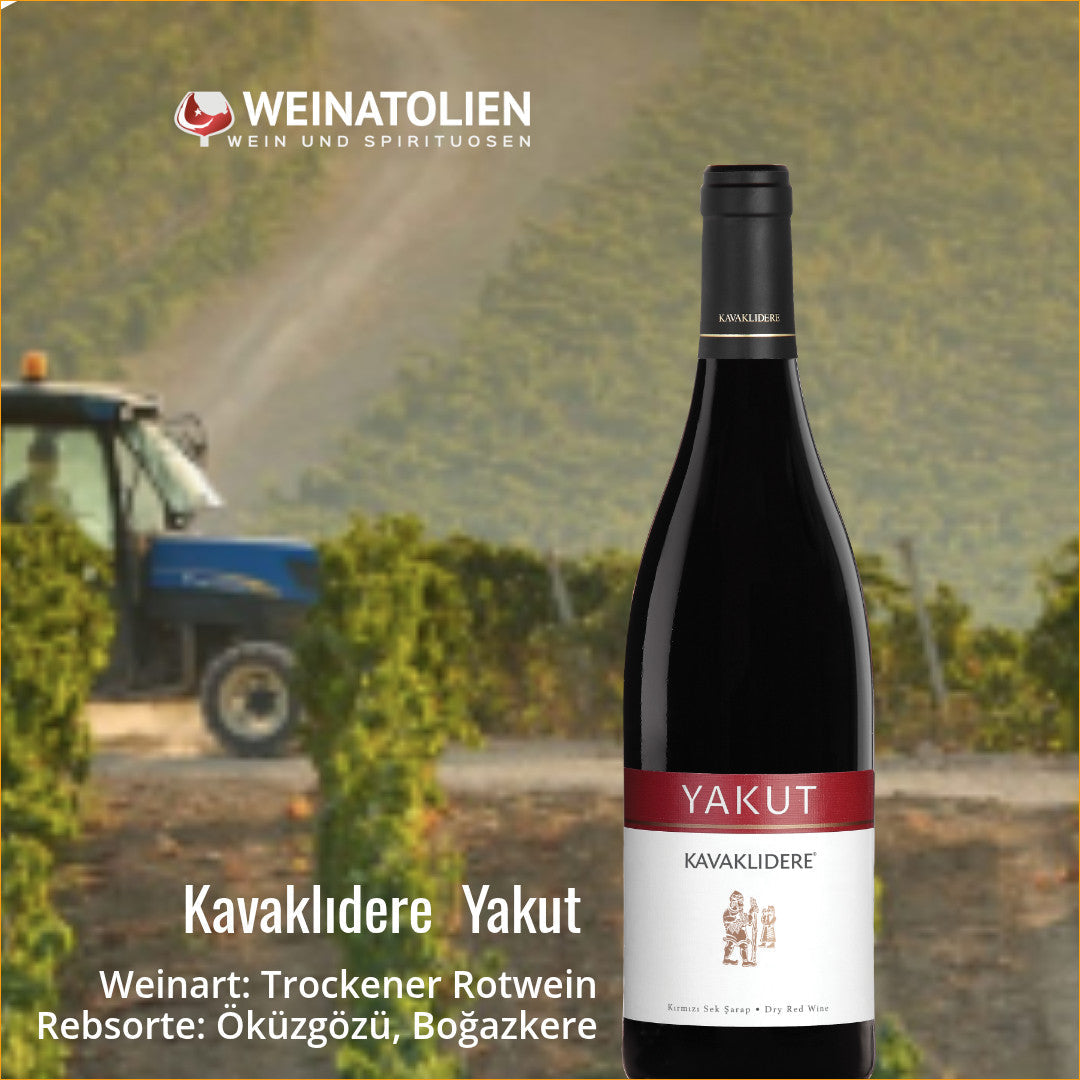 Kavaklıdere Yakut türkischer Rotwein aus Anatolien mit Öküzgözü und Boğazkere