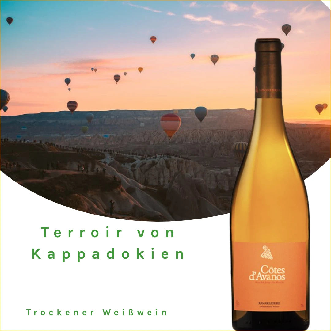 WEINATOLIEN – WINES, BEERS AND SPIRITS GmbH 