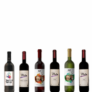 Weingut Küp – 6er Mix Probiersparpaket