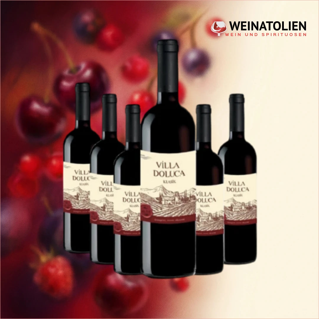 Villa Doluca Rot 6er-Sparpaket mit sechs Flaschen