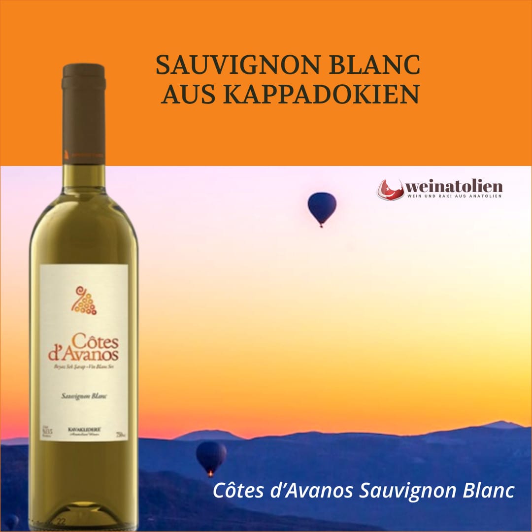Côtes d’Avanos Sauvignon Blanc – türkischer Weißwein aus Kappadokien