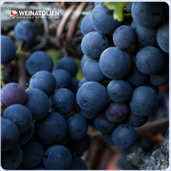 WEINATOLIEN – WINES, BEERS AND SPIRITS GmbH 
