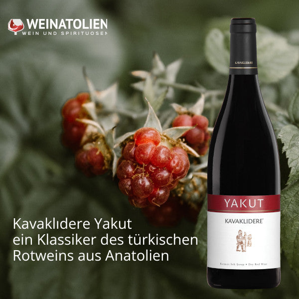 Kavaklıdere Yakut Rotwein mit Aromen roter Früchte aus türkischen Rebsorten Öküzgözü und Boğazkere