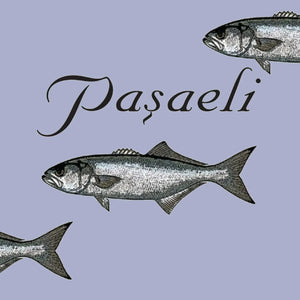 Paşaeli Blanc de Noirs Çalkarası brand image