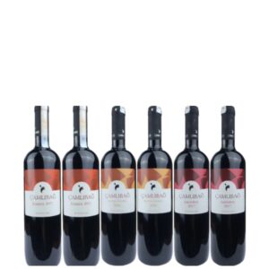 Weingut Çamlıbağ - Probierpaket