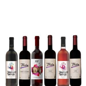 Weingut Küp - 6er Mix Probierpaket