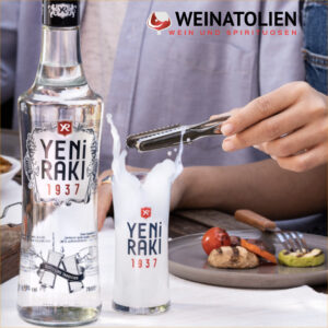 Yeni Rakı Gläser und der Unterschied zwischen Eis und Wasser